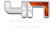 Челябинск Профит