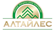 Алтайлес, Лесная холдинговая компания