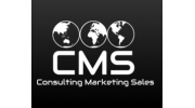 CMS (ИП Грязнов Д.С.)