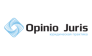 Юридическая практика Опинио Юрис