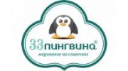 33 пингвина