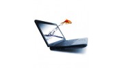 Goldfish media