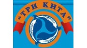 Три кита