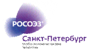 Особые экономические зоны, филиал в г. Санкт-Петербург