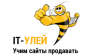 АйТи-Хайв