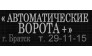 Автоматические ворота +