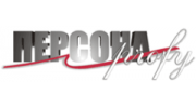 Персона-Профи