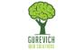 Интернет-агентство Gurevich.su
