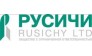 Русичи