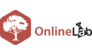Сетевая Лаборатория