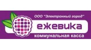 Электронный город